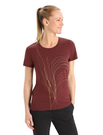 Women's Icebreaker Merino Central Classic Short Sleeve Leaf T Shirts Espresso | CA 1387UZGT